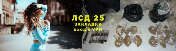 сатива Медногорск