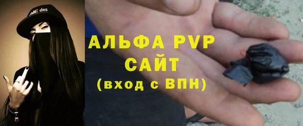 сатива Медногорск