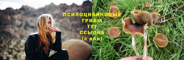 сатива Медногорск