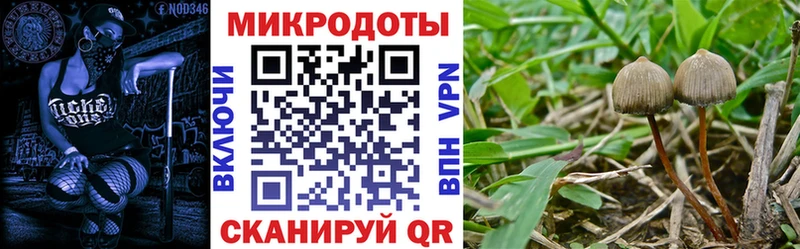 сайты даркнета официальный сайт  ОМГ ОМГ как войти  Ленинградская  Галлюциногенные грибы GOLDEN TEACHER 