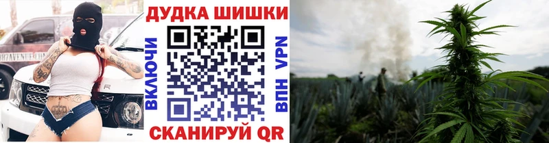 МАРИХУАНА ГИДРОПОН  купить наркотик  Ленинградская 